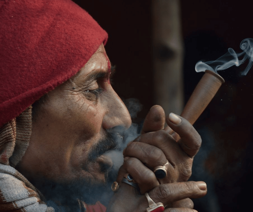 India Cannabis