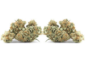 Medical Verse Recreational Cannabis Use