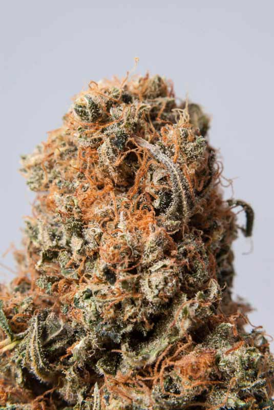 substance-cannabis-market-bud-e1514496350424