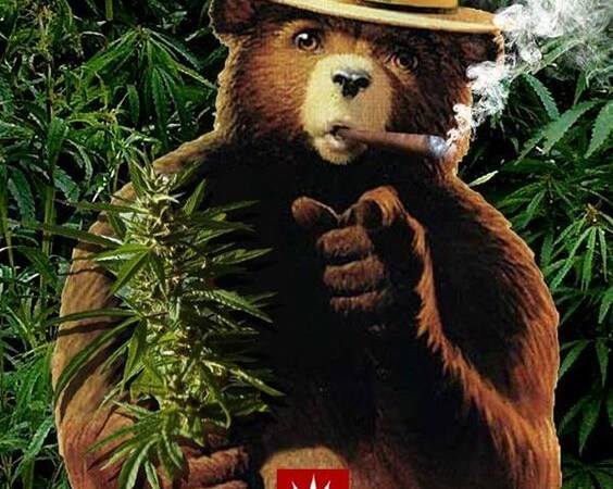 Smokey Bear