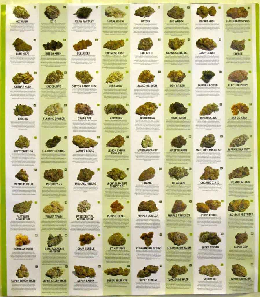 Types of Weed: Cannabis Classifications Chart