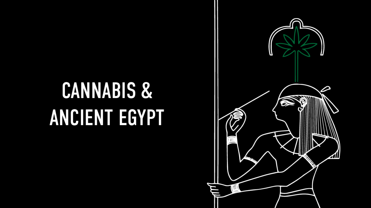Cannabis Use in Ancient Egypt