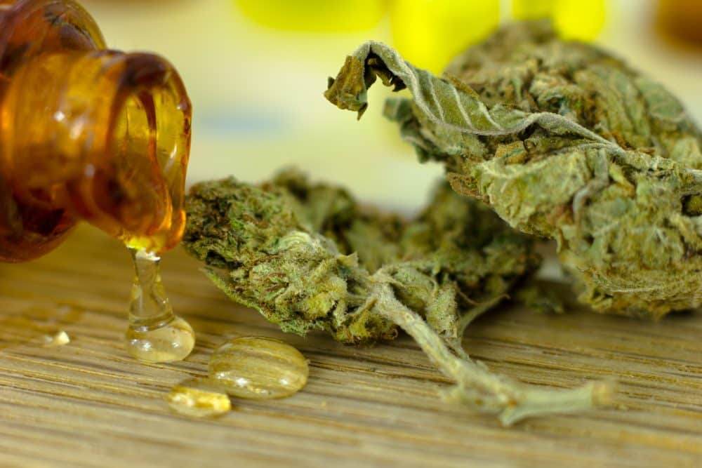 Marijuana flower and cannabis oil on a piece of fresh oak wood