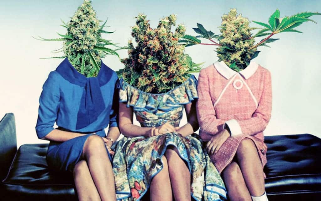 Women of Weed