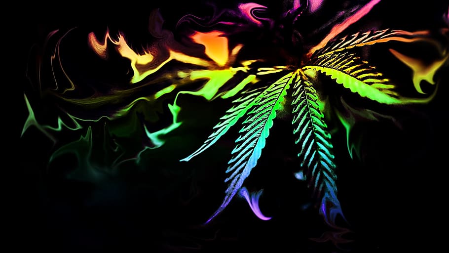 full spectrum cannabis