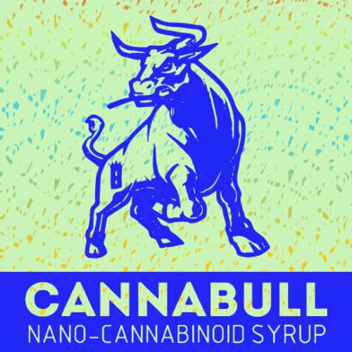 Cannabull Nano-Cannabinoid Syrup Featured Image