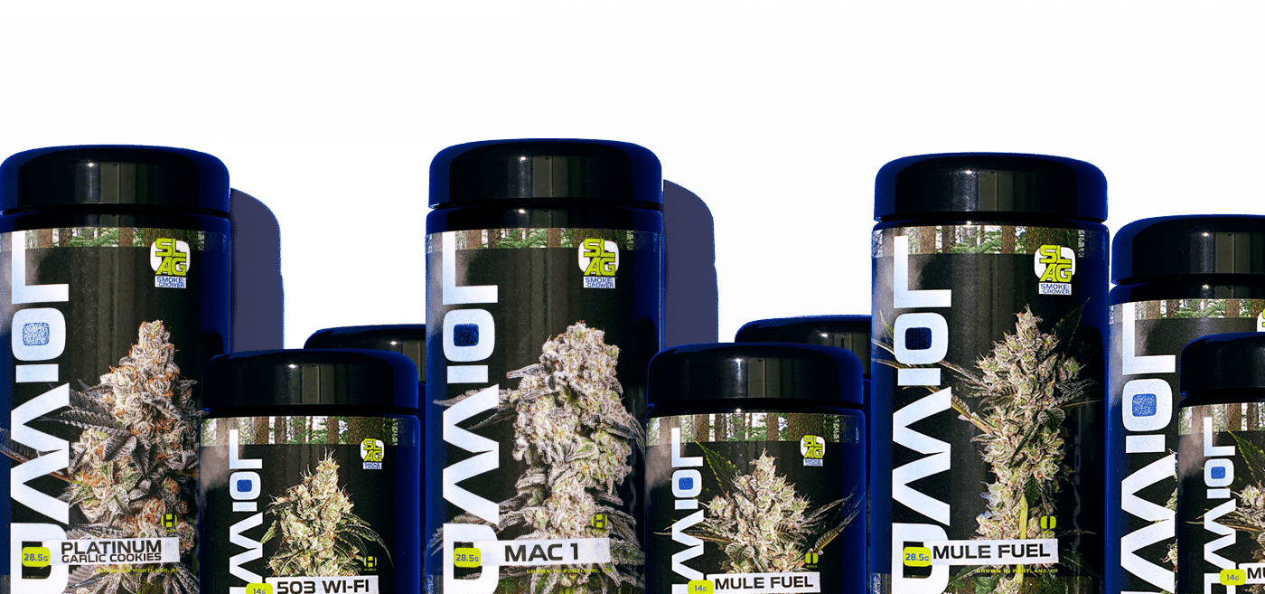 LOWD Products Header Image
