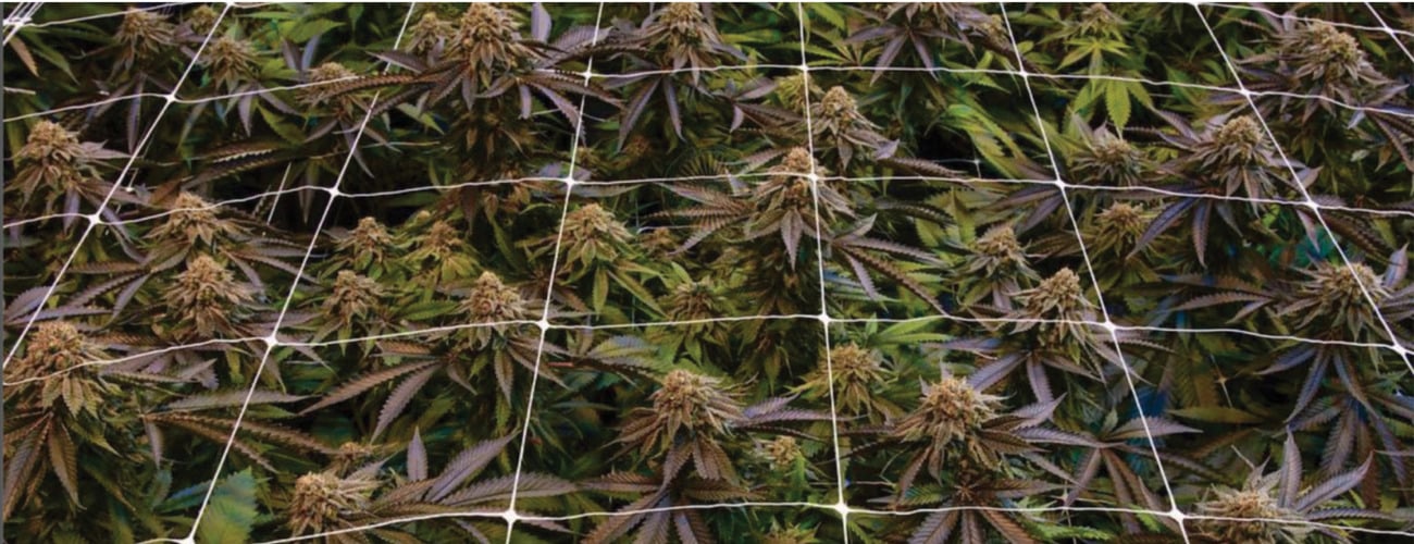 Deep Creek Gardens Header